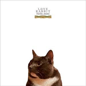 儿子日娘章节小说
