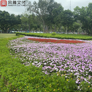 儿子日娘章节小说
